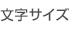 文字サイズ